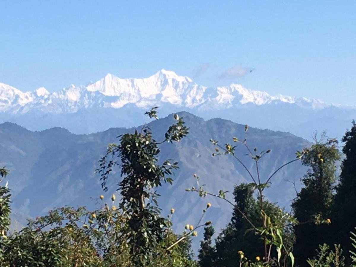 La Riqueza Dhanolti View # Near To Eco Park & Surkanda Devi Temple # Mountain View Rooms With Balcony # Big Parking # Customer Favourite Hotel Dhanaulti Exterior foto