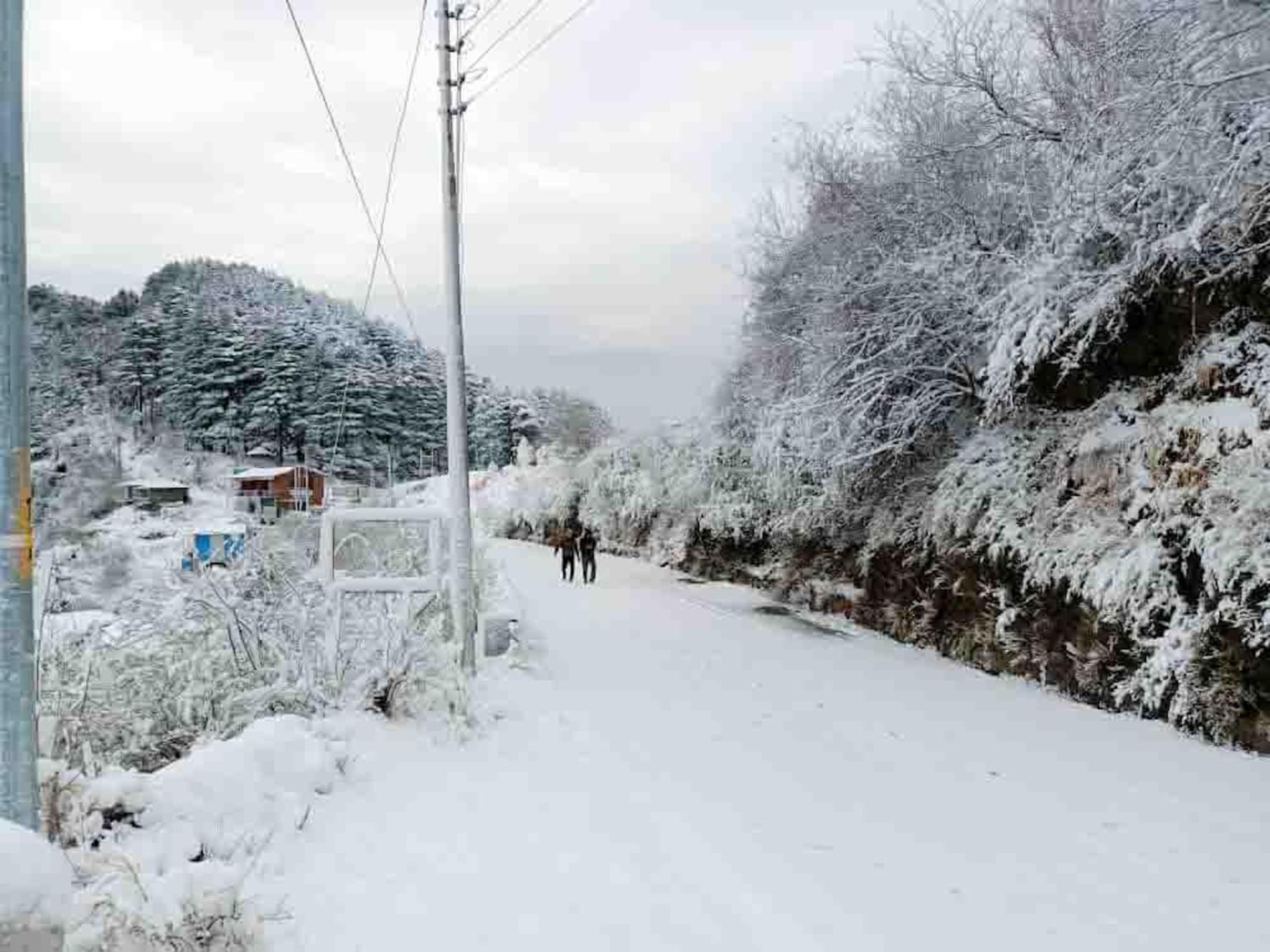 La Riqueza Dhanolti View # Near To Eco Park & Surkanda Devi Temple # Mountain View Rooms With Balcony # Big Parking # Customer Favourite Hotel Dhanaulti Exterior foto
